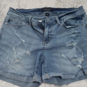Judy Blue from Stitch Fix- distressed shorts